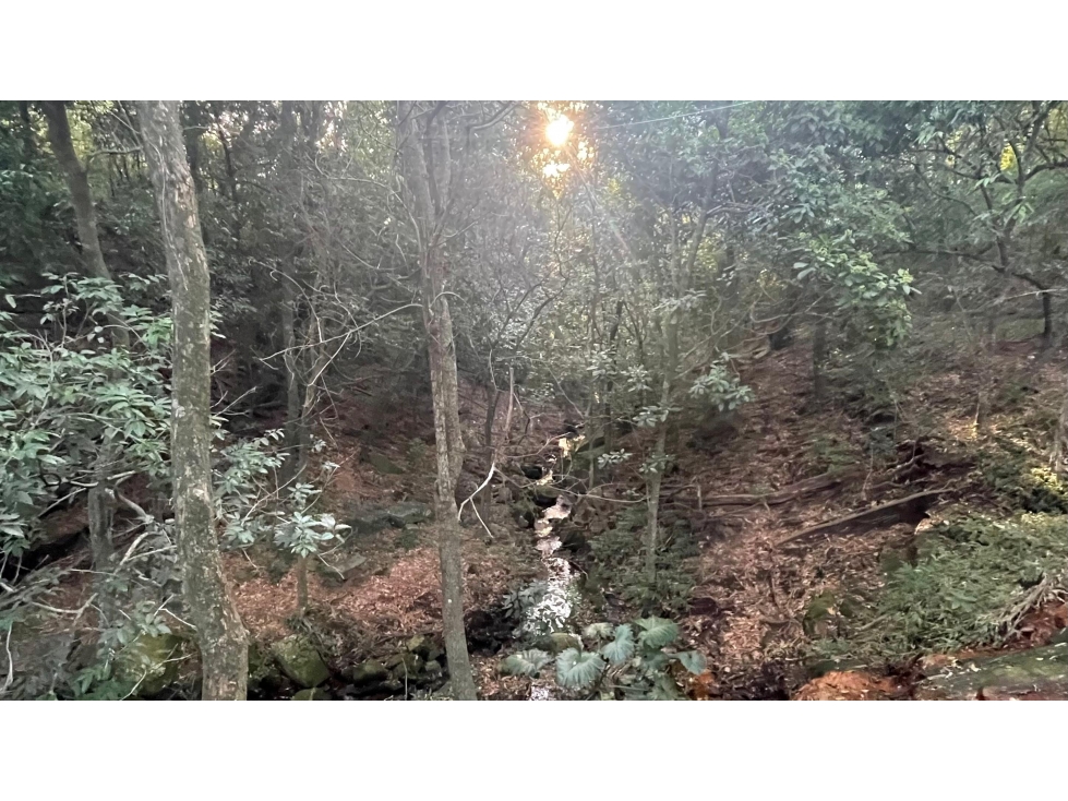 Vendo 20,3 hectáreas en Caacupe, Cordillera con agua y cerro - 2