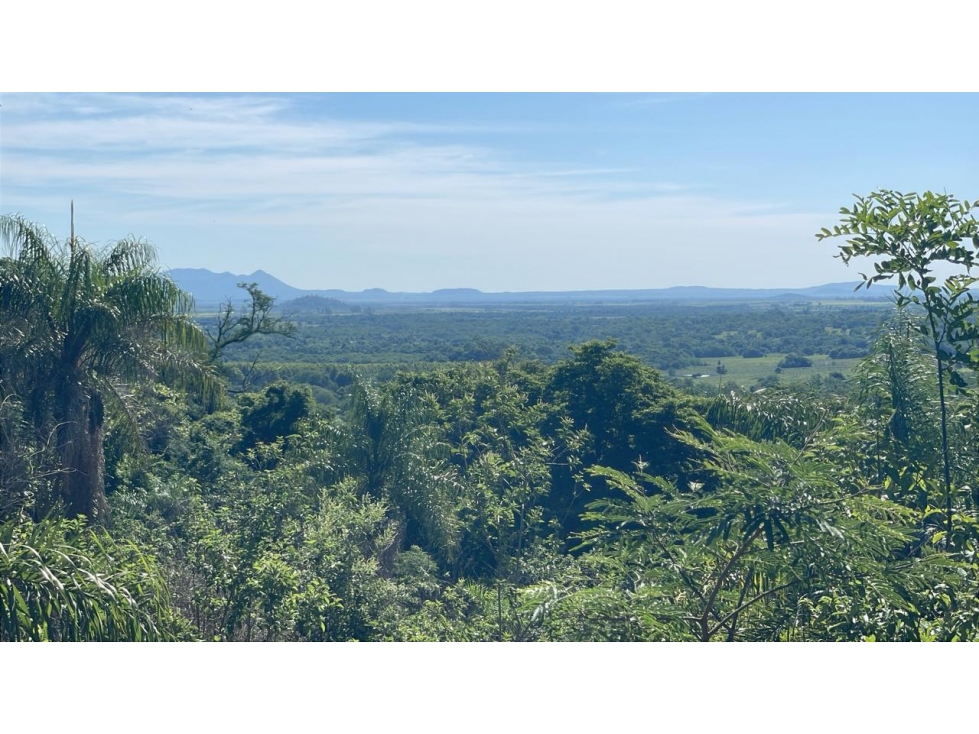 Campo de 8,9 ha en Caballero | 22-acre farm 2 hours from Asunción - 4