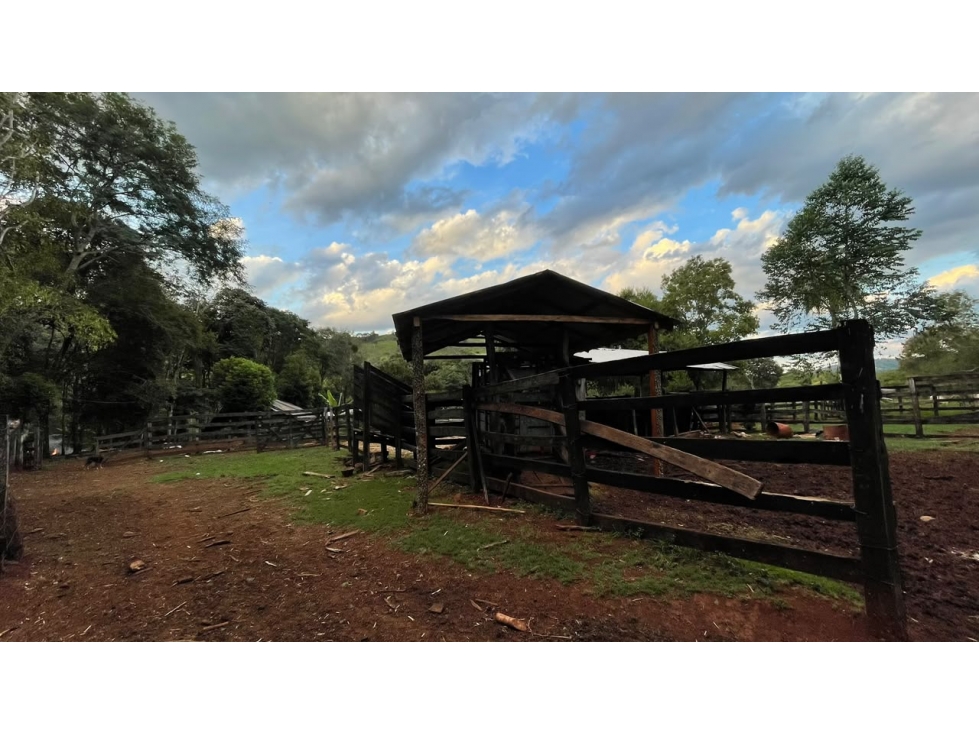 43 Hectares Farm for Sale in Paraguay with Natural Spring and Creek - 2