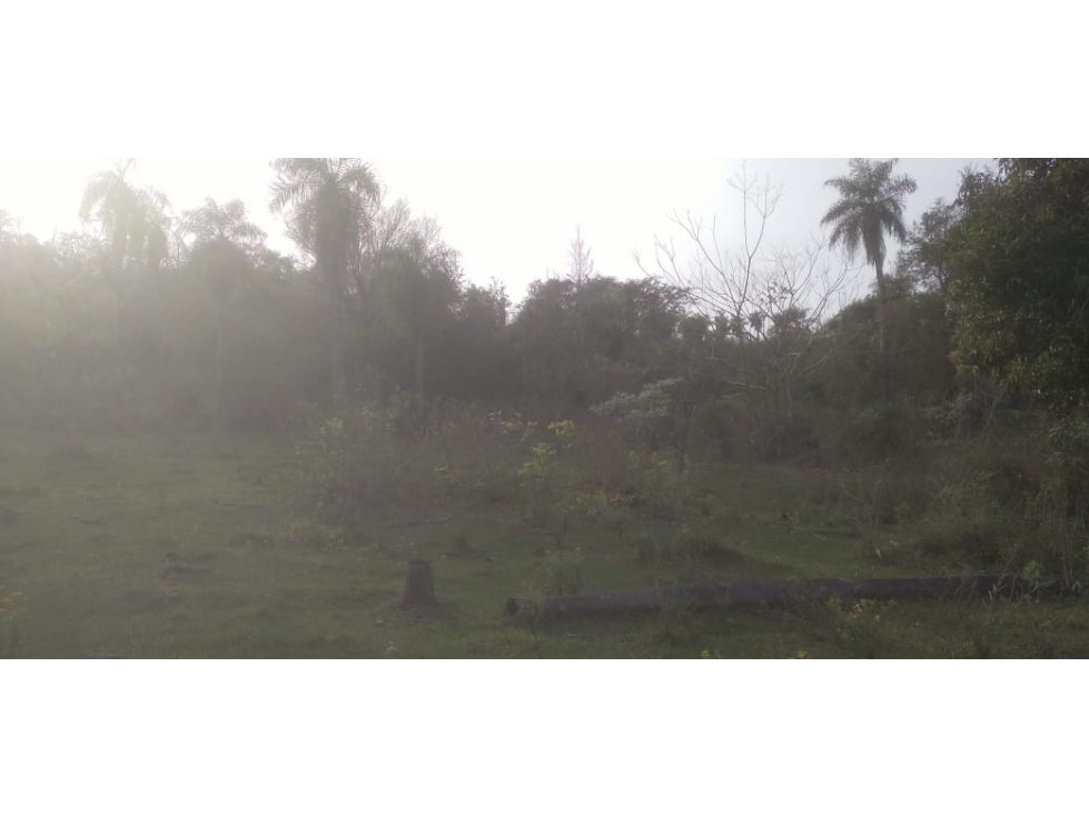 Vendo 20 hectáreas en Emboscada A 3 km de la ruta 3 del casco urbano - 4
