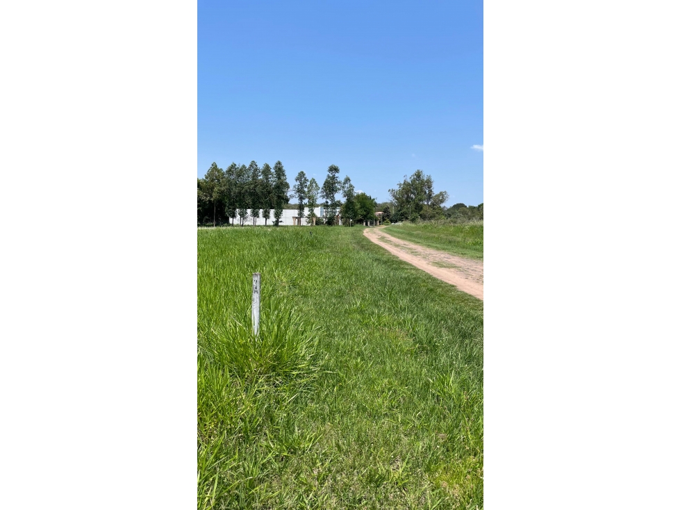 Vendo hermoso terreno en Surubi'i - 4