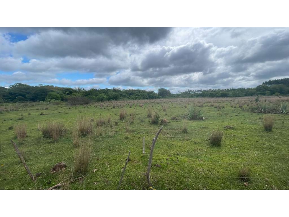 Vendo propiedad de 12,6 ha en Carapeguá - 4