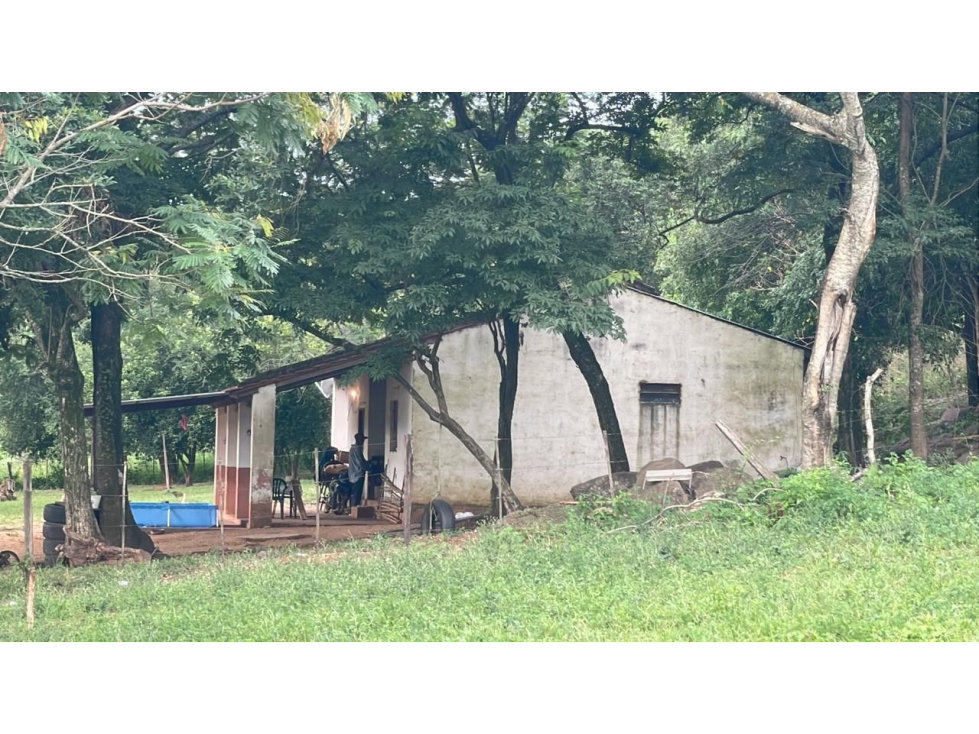 Vendo 88 hectáreas en Ybycui con casa y 21 hectáreas de eucalipto - 3