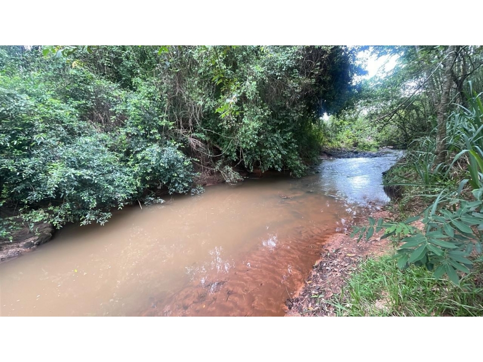 Inversión Agropecuaria en Paraguay: 90 Ha en Acahay con arroyo - 4