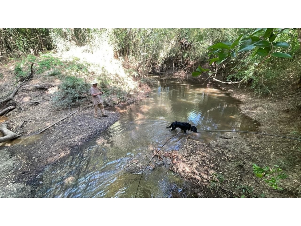 Campo de 34 Hectáreas con arroyo y vistas en Venta en Acahay, Paraguay - 4