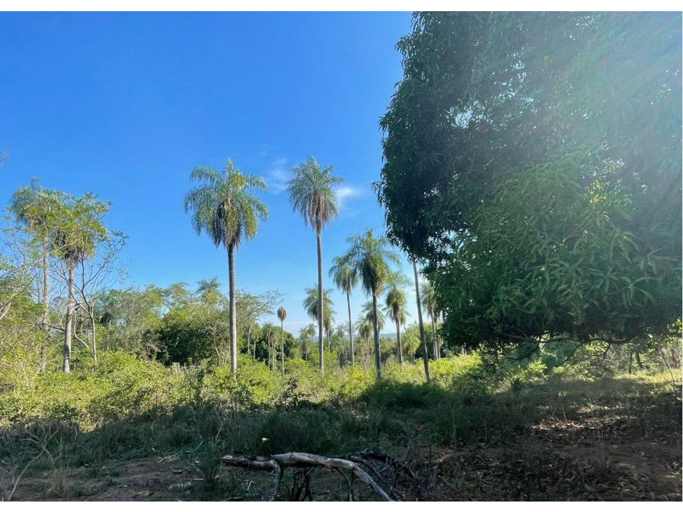VENDO HERMOSA PROPIEDAD EN EMBOSCADA 20 hectareas A 3 km de la ruta - 4