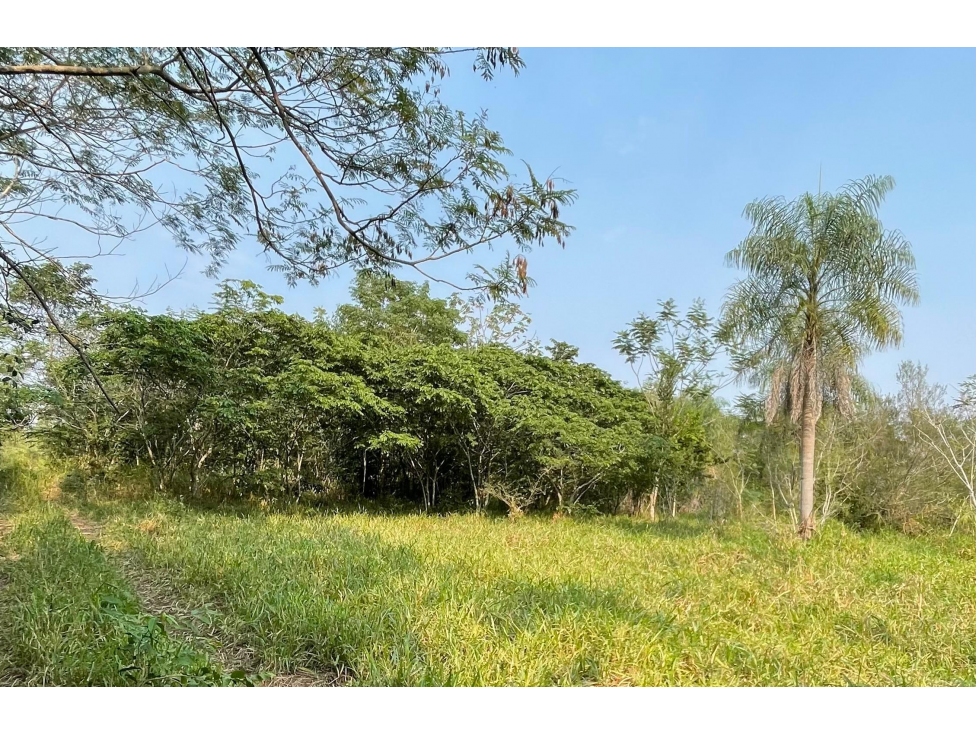 Vendo 5 hectáreas en Arroyos y Esteros Zona San Antonio - 4