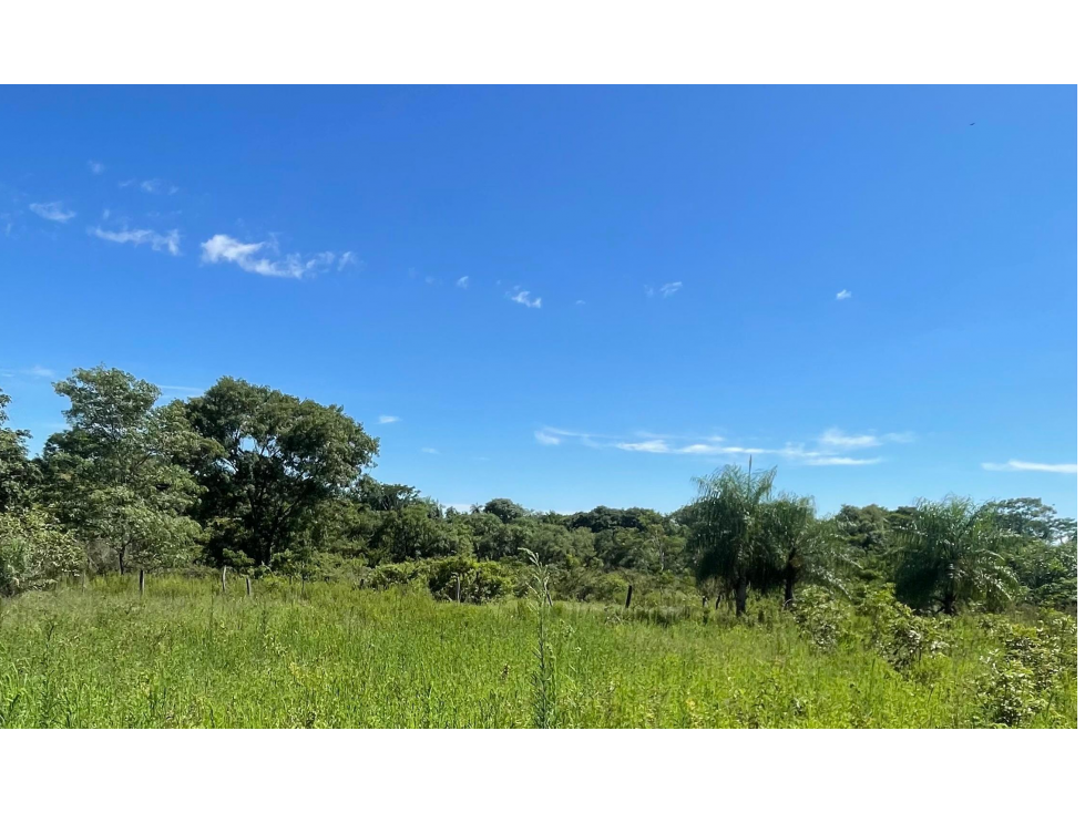 VENDO 9 HECTAREAS EN ATYRA A 4 km del casco urbano - 4