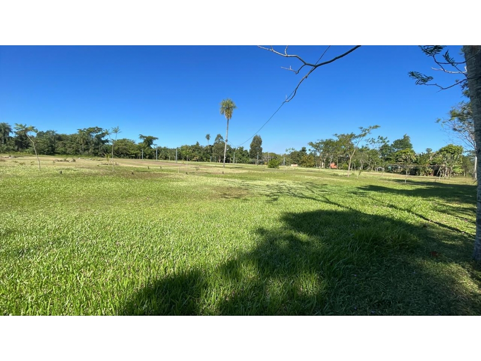 Vendo 10 hectáreas en San José de los Arroyos - 3