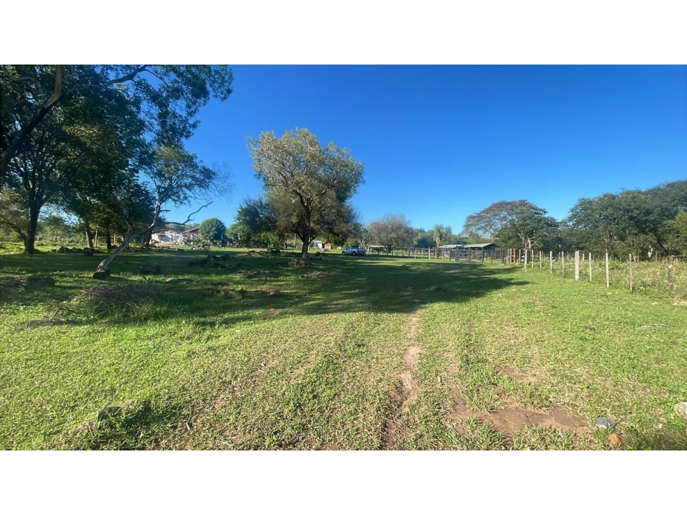 Campo 114 ha con mejoras ganaderas en Caapucú | 282-acre cattle ranch - 3