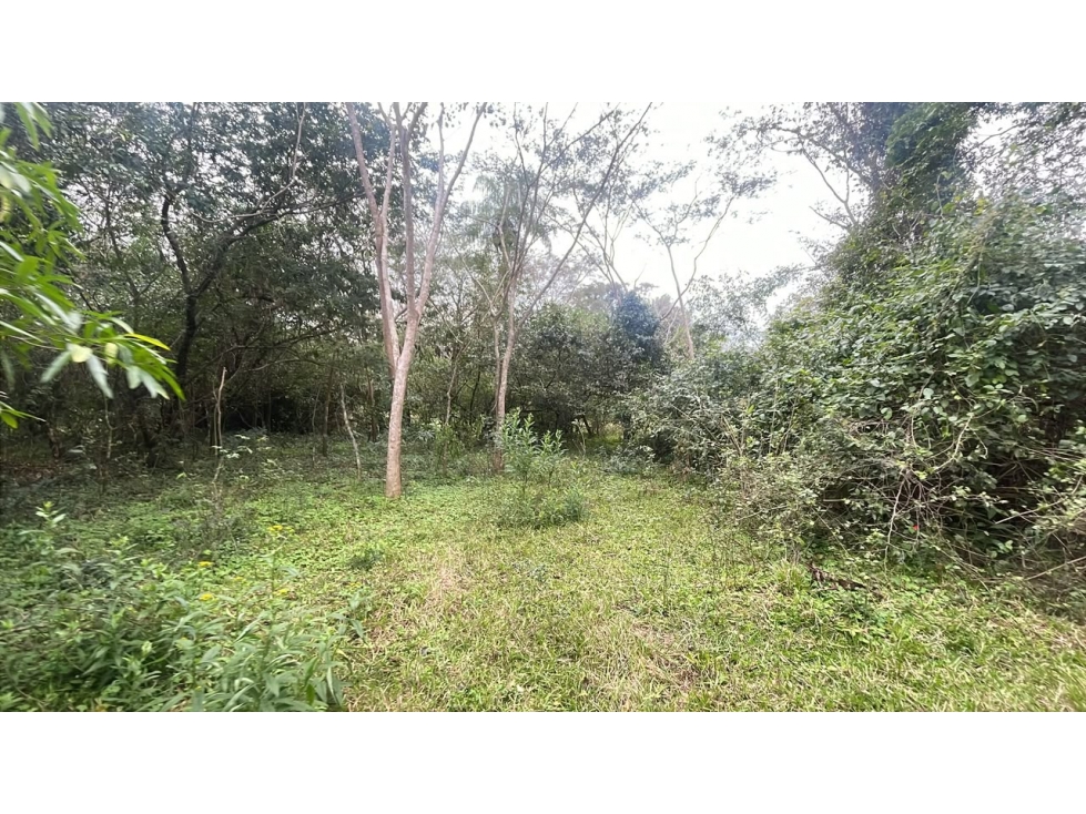 Vendo 6,5 hectáreas en Ybycui - 4