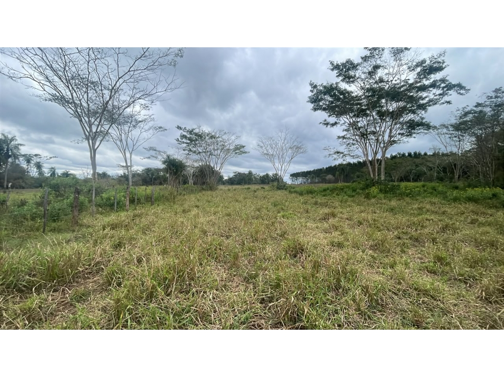 Vendo 3,5 hectáreas en Ybycui - 5