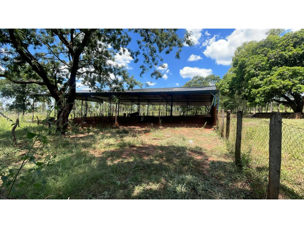 50-Hectare/123.5 Acres Piribebuy Livestock & Intensive Feedlot Farm - 2