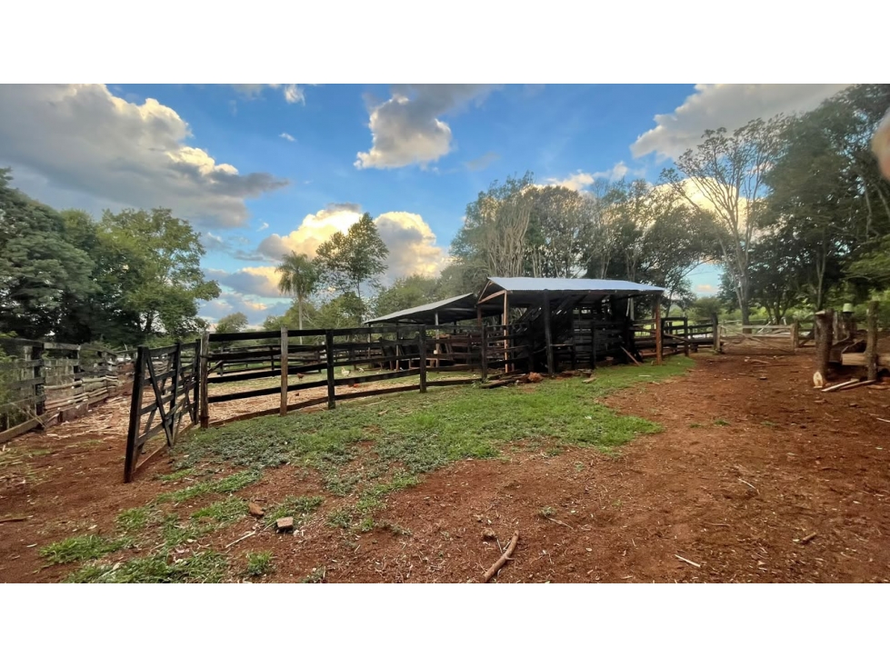 Finca en venta 43 hectáreas con manantial y arroyo en Independencia - 2