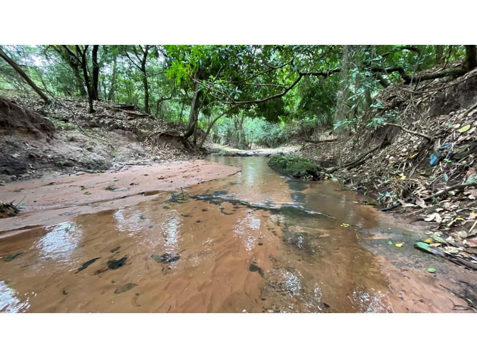 Vendo 9 hectáreas Quiindy a 2,5 km de la ruta 1 - 1