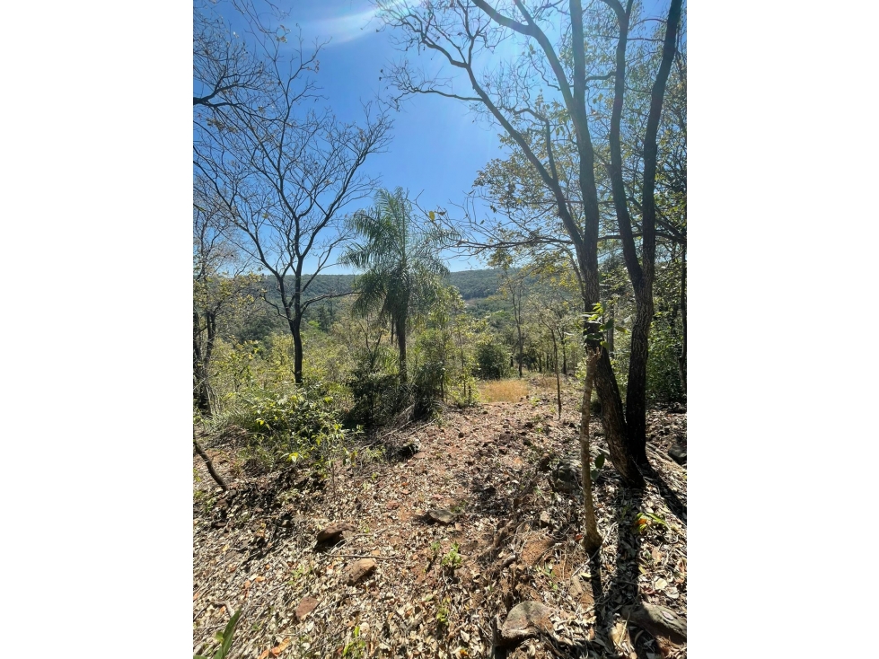7 hectareas en Sanber - Propiedad con cerro - 5