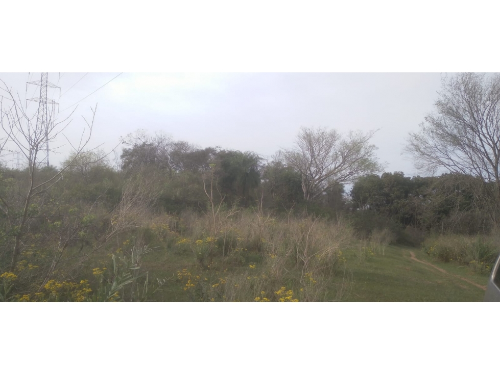 Vendo 20 hectáreas en Emboscada A 3 km de la ruta 3 del casco urbano - 5