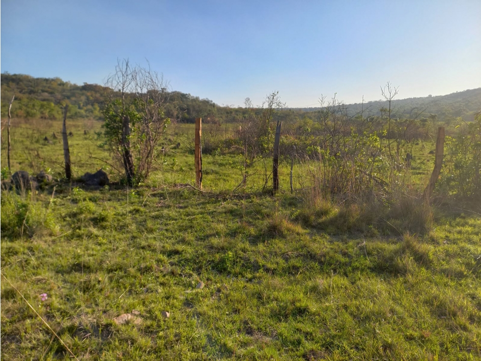 Vendo 46 hectáreas en Nueva Colombia a 800 metros del asfalto - 5