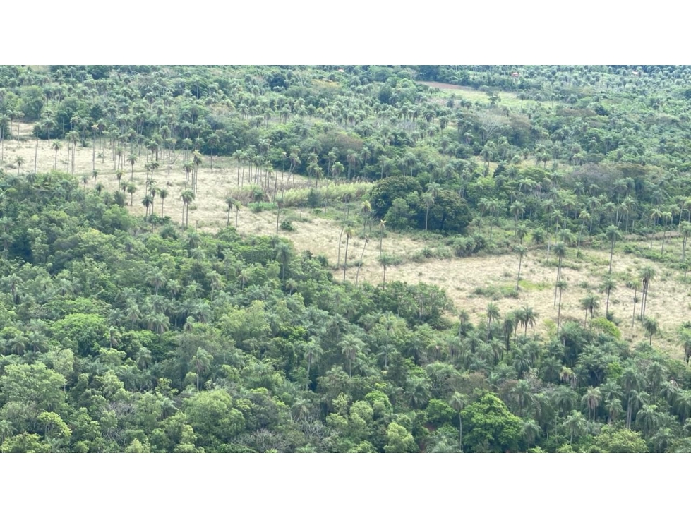 Vendo 14,6 hectáreas en Caacupé con vista al Cerro Kavaju - 1