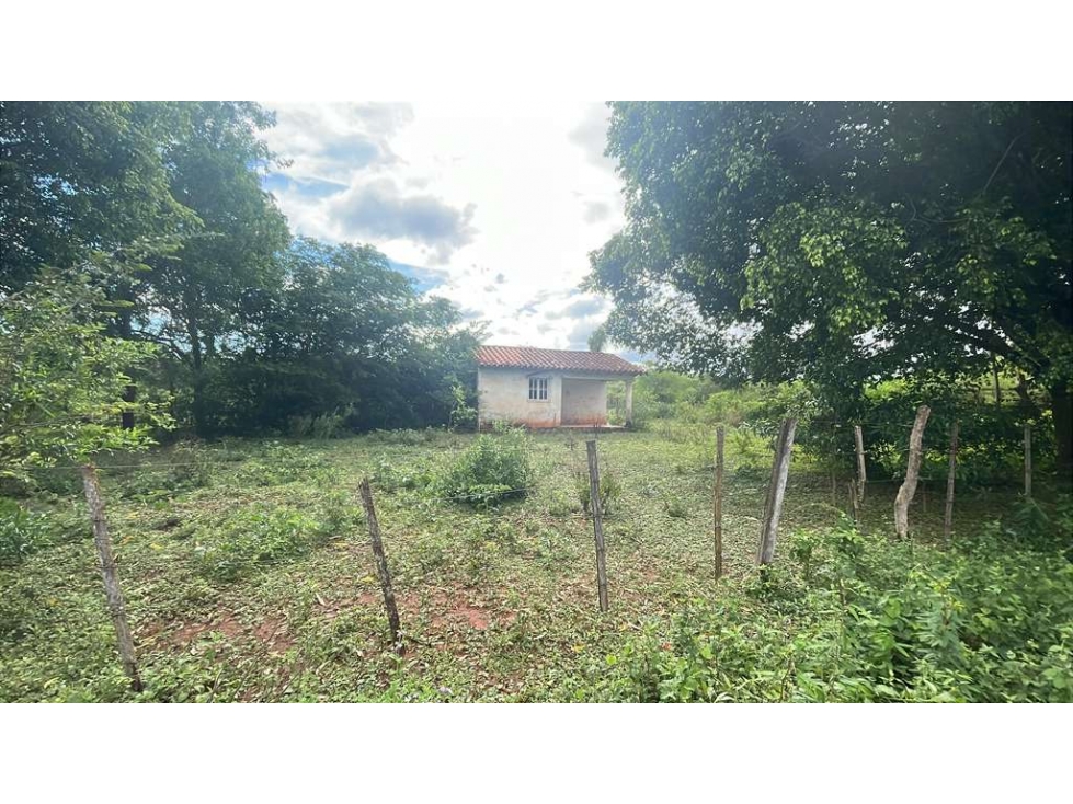 Vendo propiedad de 12,6 ha en Carapeguá - 5