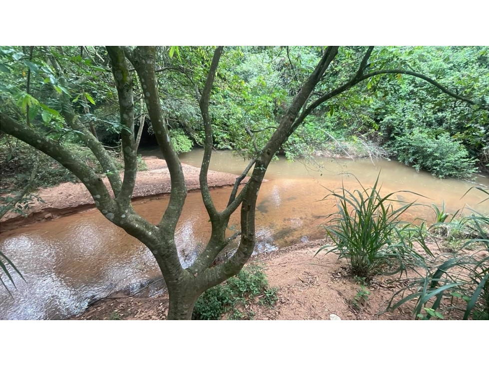 Inversión Agropecuaria en Paraguay: 90 Ha en Acahay con arroyo - 5