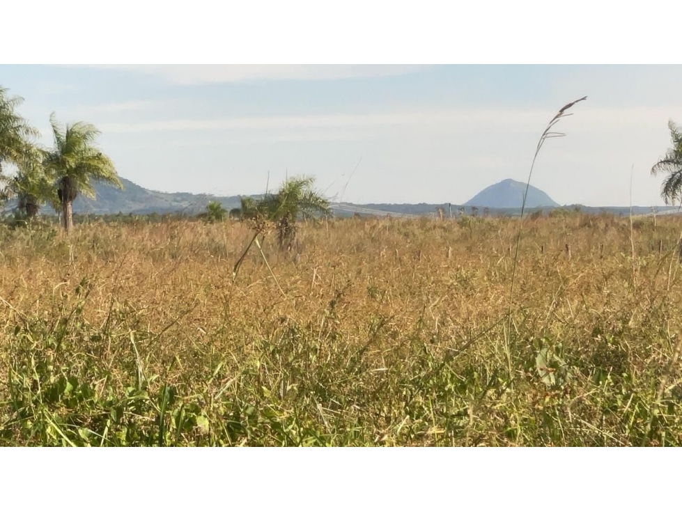 Campo de 34 Hectáreas con arroyo y vistas en Venta en Acahay, Paraguay - 5