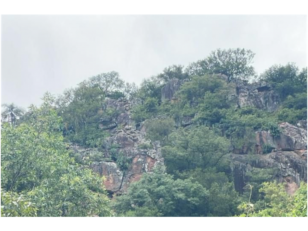 Vendo 14,6 hectáreas en Caacupé con vista al Cerro Kavaju - 5