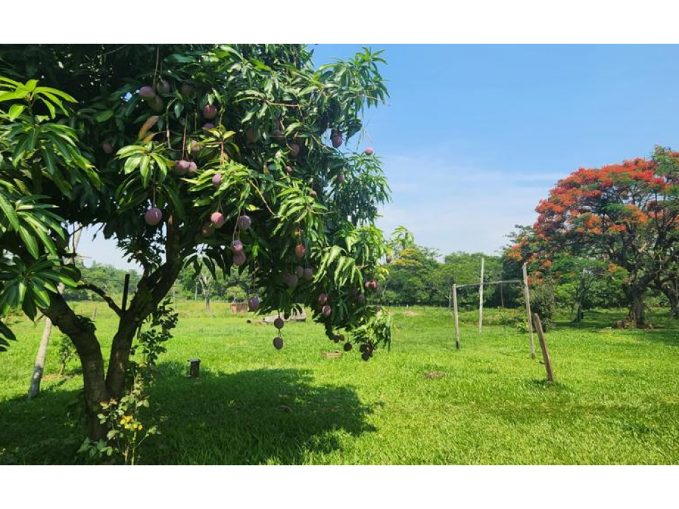 Vendo 5,5 hectareas en Caraguatay Fulgencio Yegros A 1000m del asfalto - 5
