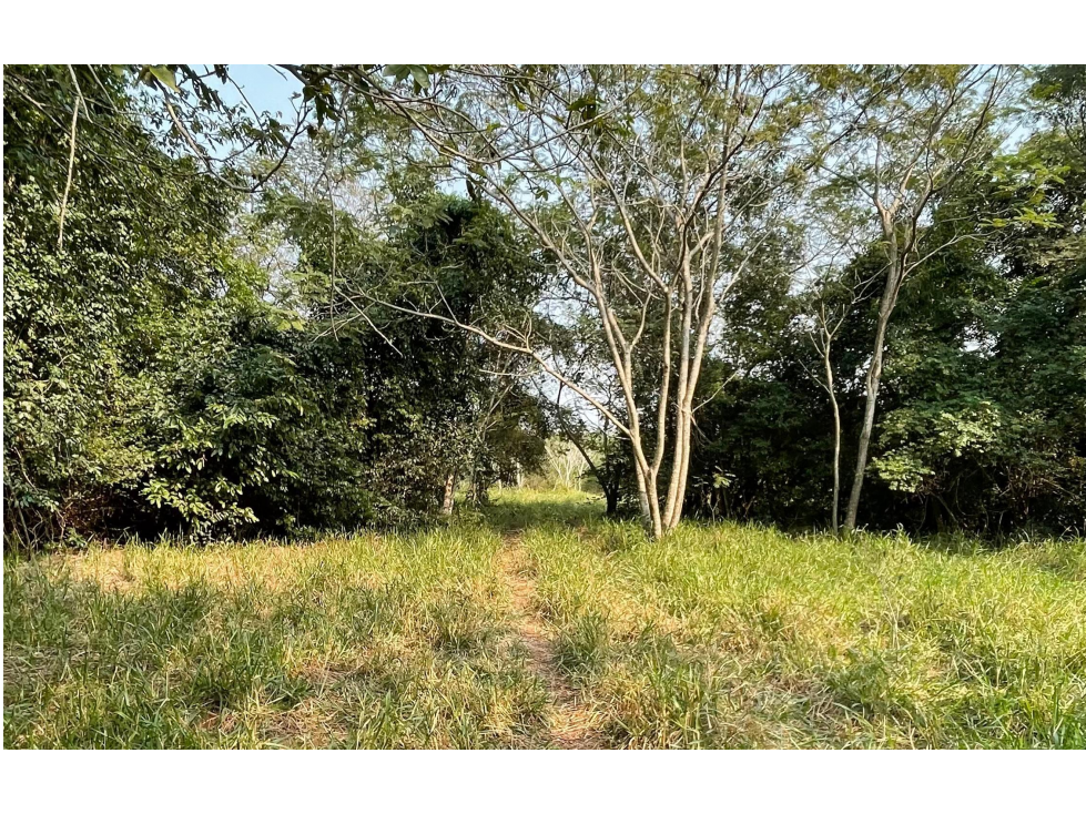 Vendo 5 hectáreas en Arroyos y Esteros Zona San Antonio - 5
