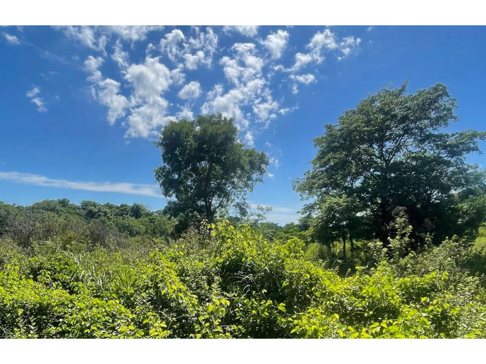 VENDO 9 HECTAREAS EN ATYRA A 4 km del casco urbano - 5