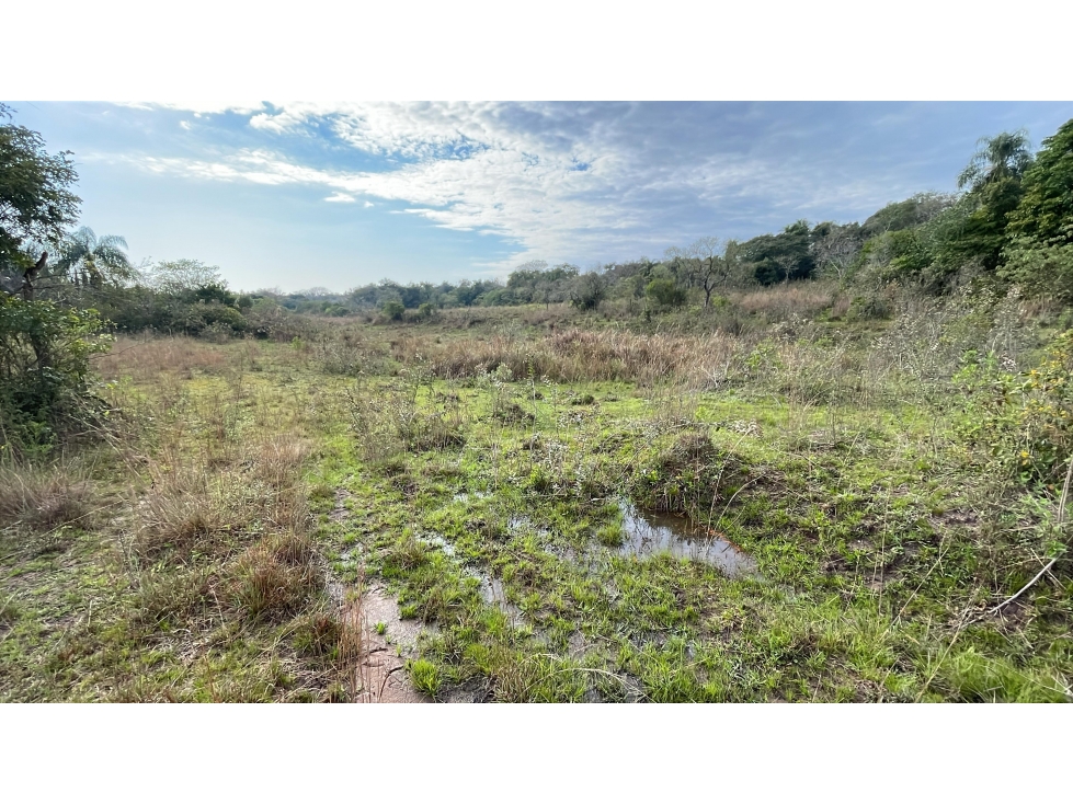 Propiedad de 7 hectáreas en Atyra con cascada - 5