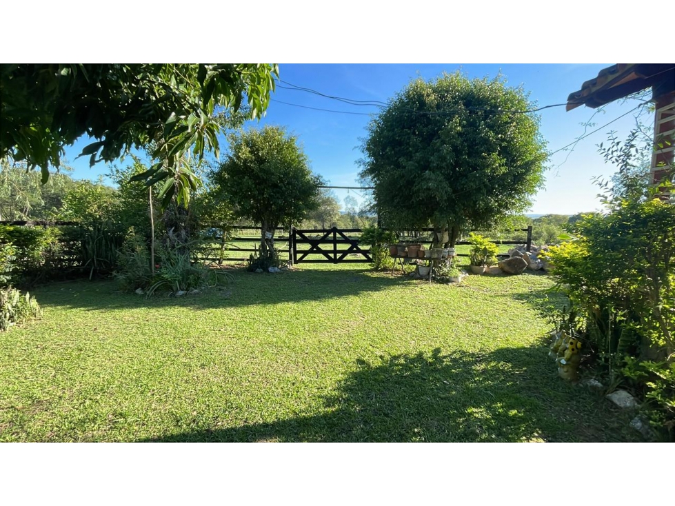 Campo 114 ha con mejoras ganaderas en Caapucú | 282-acre cattle ranch - 4