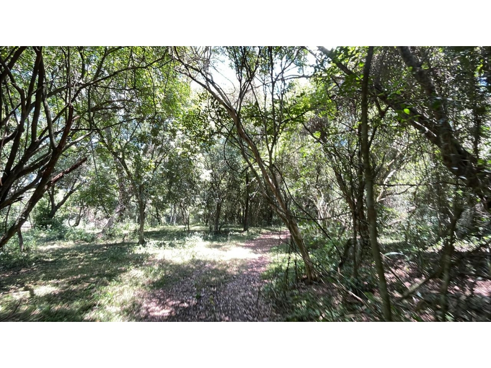 Vendo 17,7 hectáreas con 2 arroyos en Sapucai - 6