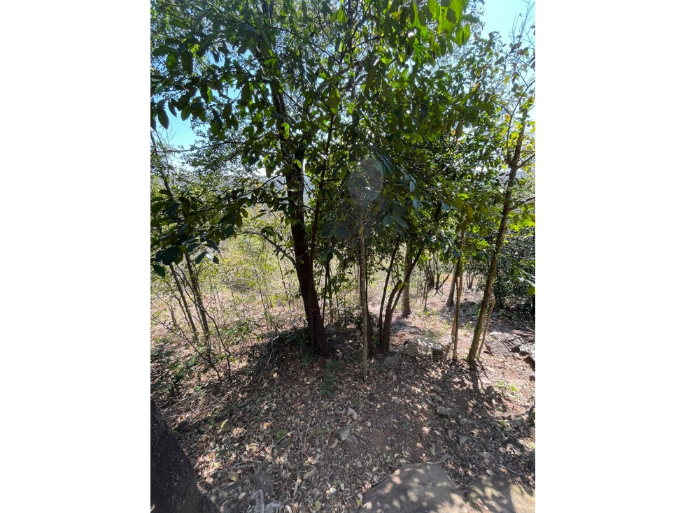 7 hectareas en Sanber - Propiedad con cerro - 6