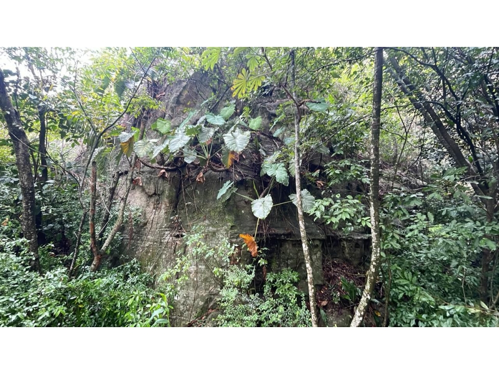 Vendo 14,6 hectáreas en Caacupé con vista al Cerro Kavaju - 6
