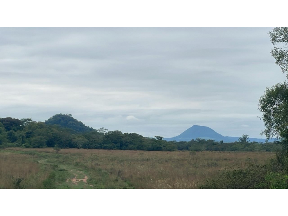 Inversión Agropecuaria en Paraguay: 90 Ha en Acahay con arroyo - 6