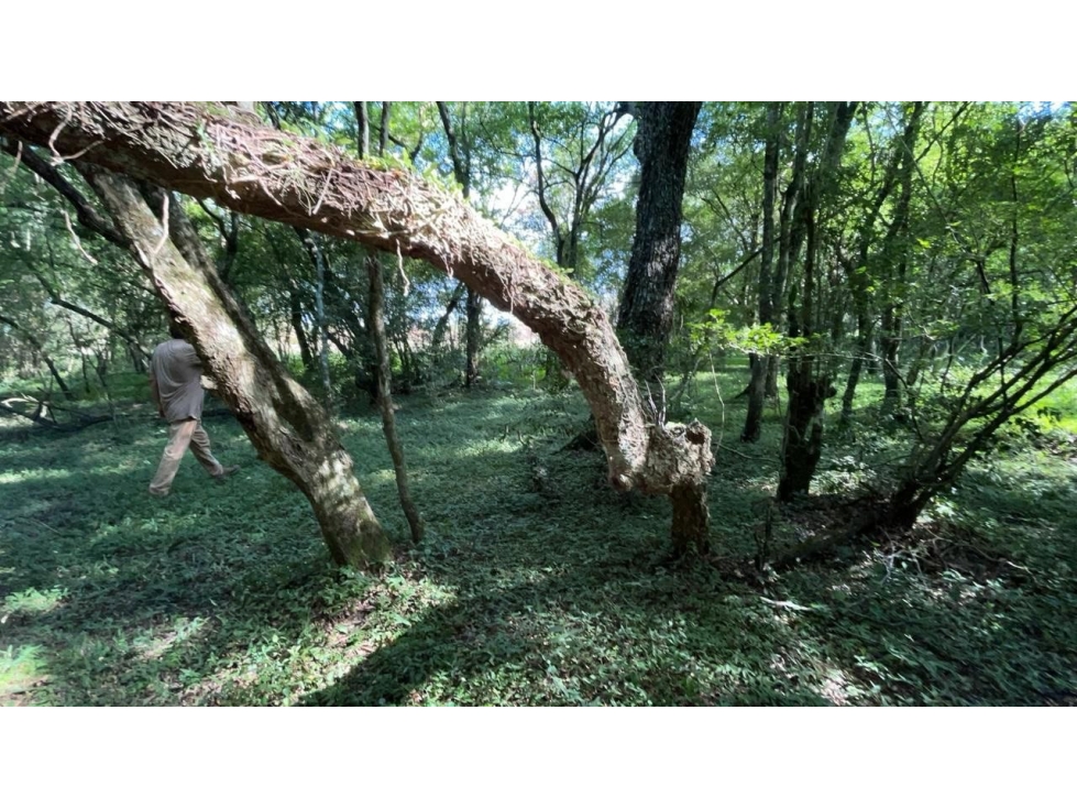Campo de 34 Hectáreas con arroyo y vistas en Venta en Acahay, Paraguay - 6