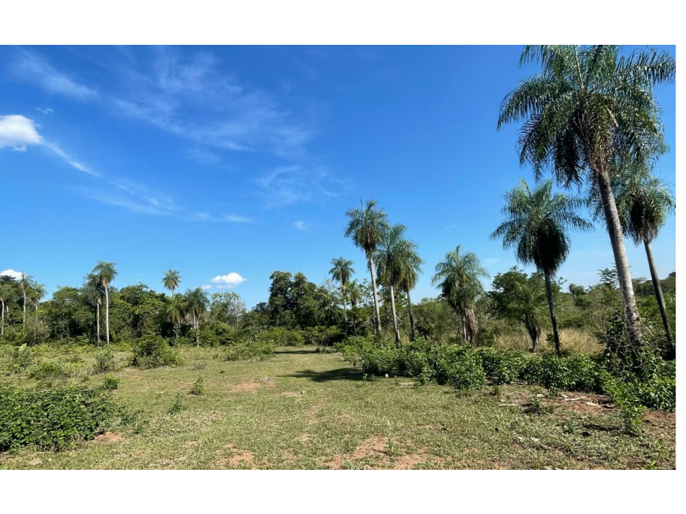 VENDO HERMOSA PROPIEDAD EN EMBOSCADA 20 hectareas A 3 km de la ruta - 6