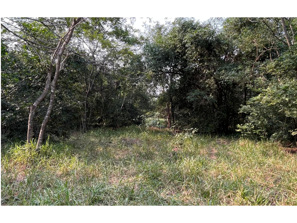 Vendo 5 hectáreas en Arroyos y Esteros Zona San Antonio - 6