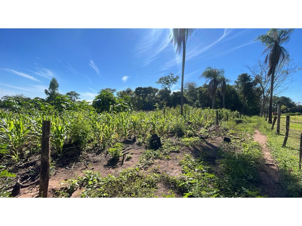 Vendo 10 hectáreas en San José de los Arroyos - 5