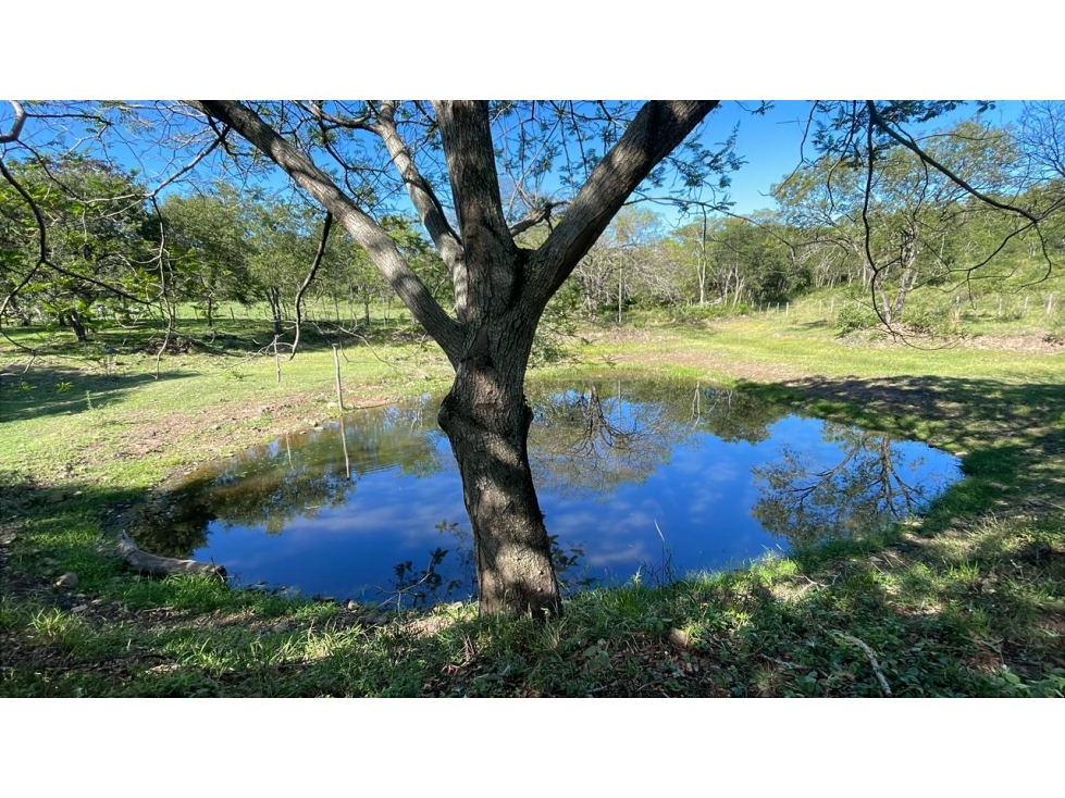 Campo 114 ha con mejoras ganaderas en Caapucú | 282-acre cattle ranch - 2