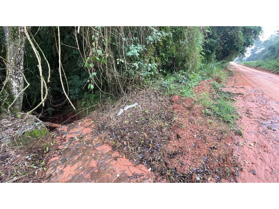 Vendo 20 hectáreas en La Colmena a 600 m del asfalto - 6