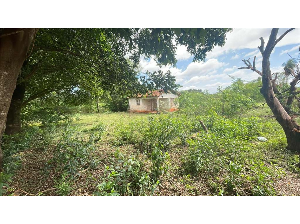 Vendo propiedad de 12,6 ha en Carapeguá - 2