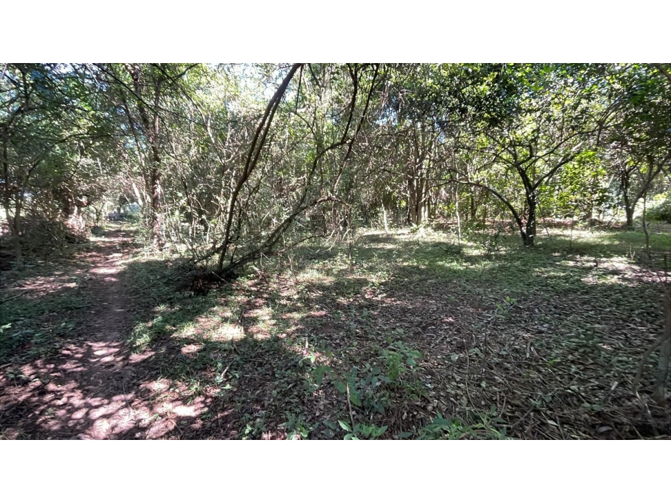 Vendo 10 hectáreas en San José de los Arroyos - 6