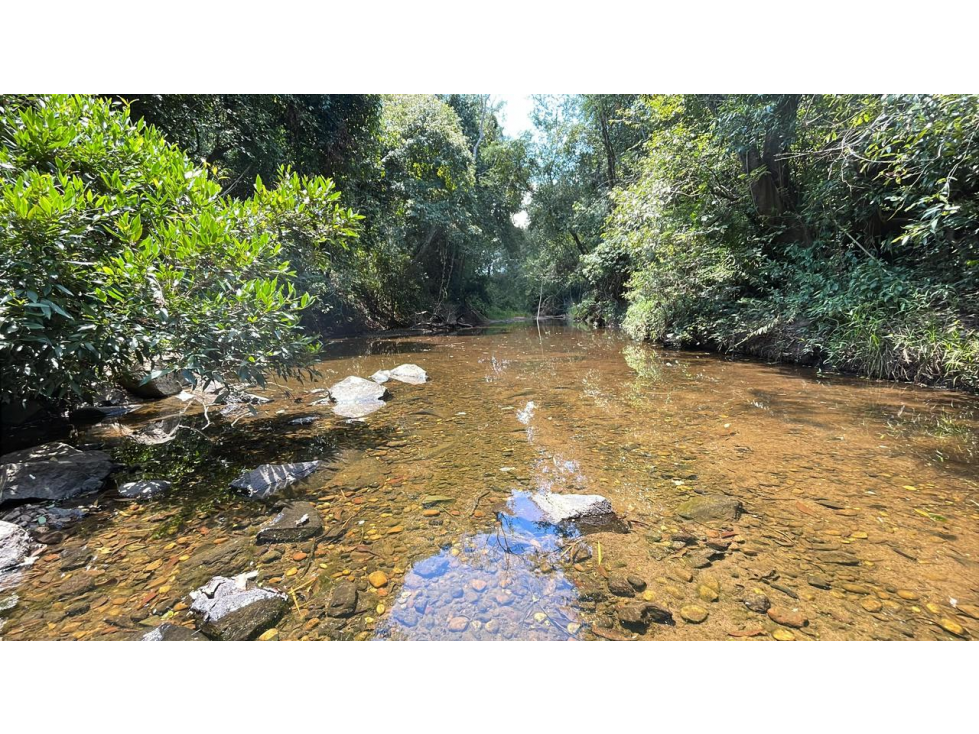 Campo 17,7 ha con casa y arroyos en Sapucai | 44-acre farm with house - 1