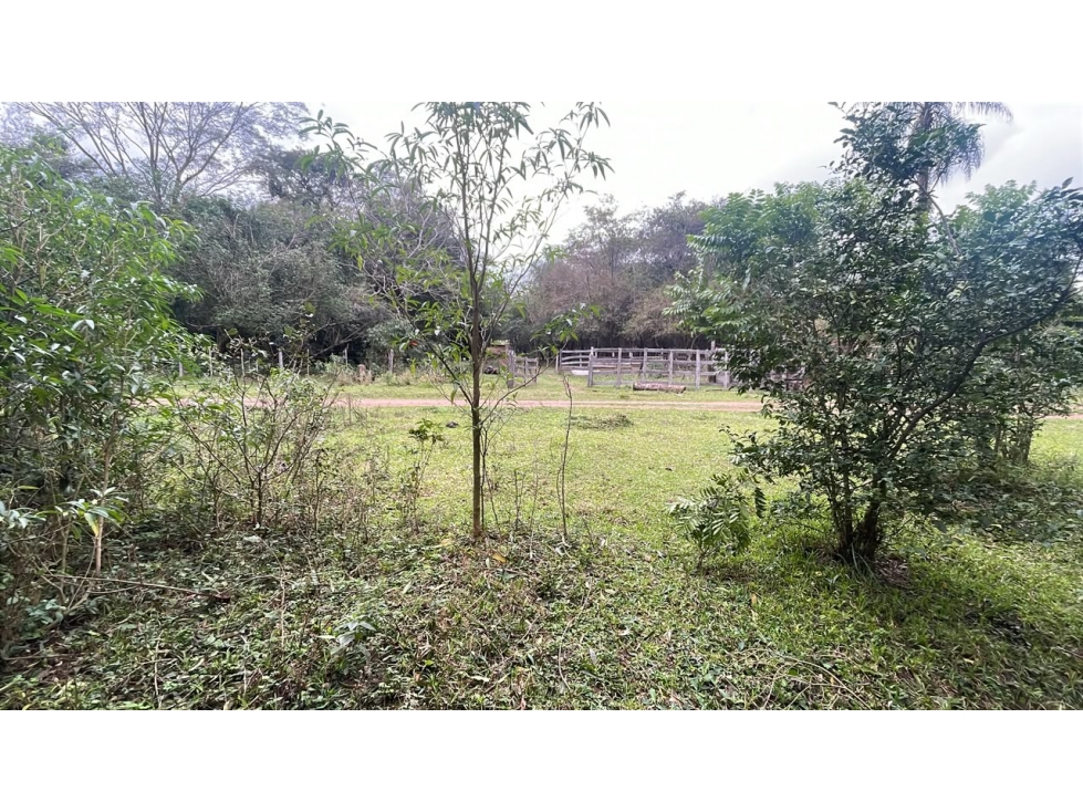 Vendo 3,5 hectáreas en Ybycui - 1