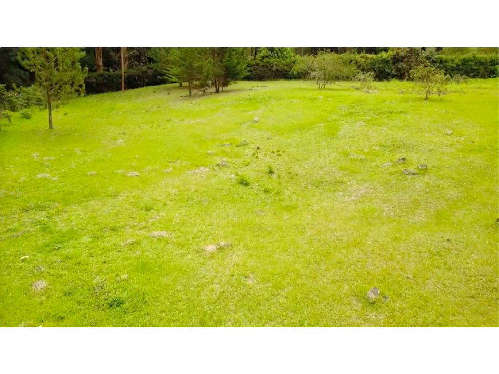 En Venta Lote De 10.000 m² Vereda La Honda Guarne - 3