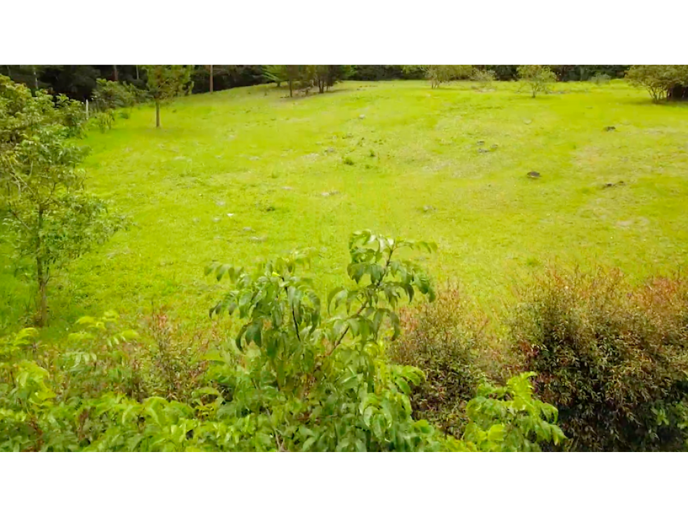 En Venta Lote De 10.000 m² Vereda La Honda Guarne - 1