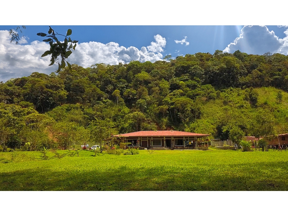 Finca De Recreo San Rafael 6.000 m² - 2