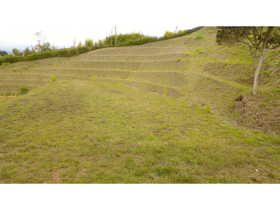 Lote de 2.663 m² en Parcelación Sector Aeropuerto Rionegro — foto 2
